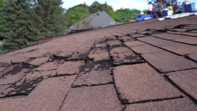 Best Cold Roofs  in Rice, MN