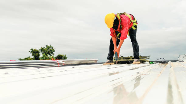 Best Asphalt Shingles Roofing  in Rice, MN